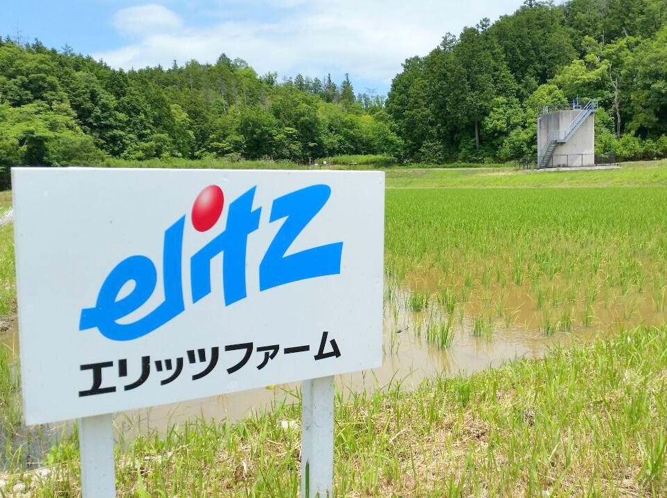 ファーム事業 農業スタッフ(総合職)