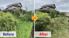 草刈り1