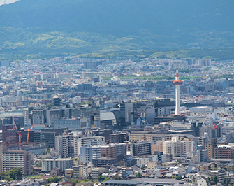 事業の内容